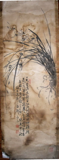 窦启文兰_调整大小.jpg