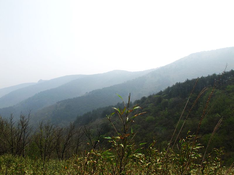 nEO_IMG_IMG_1719.jpg