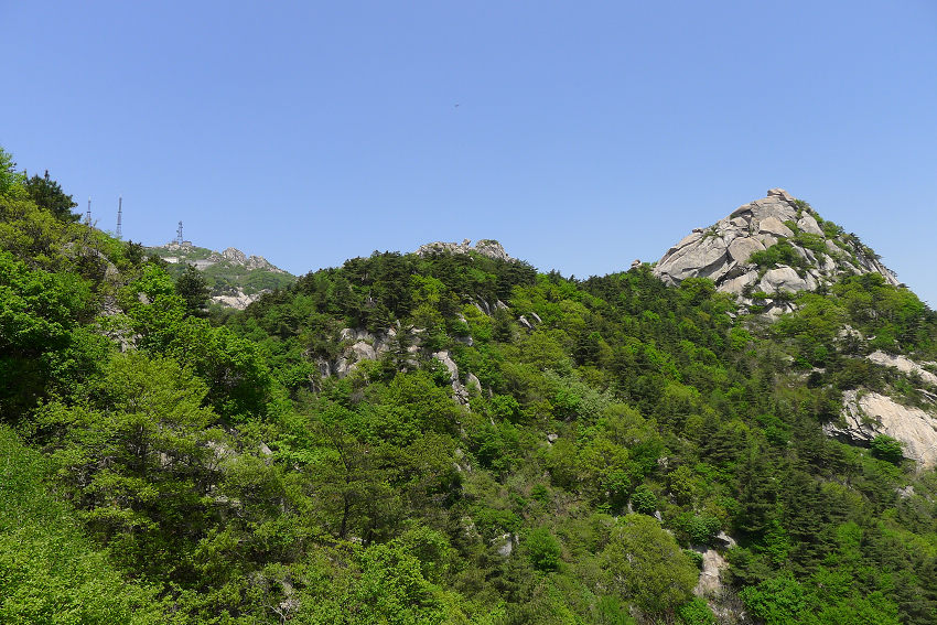 P1030820.JPG