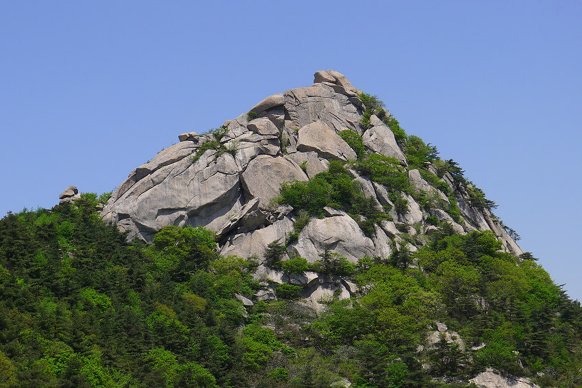 P1030824.JPG