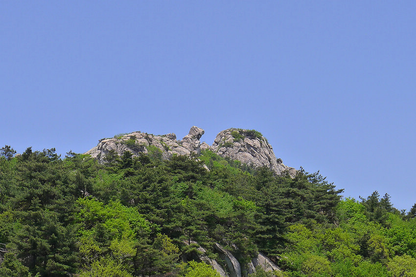 P1030823.JPG