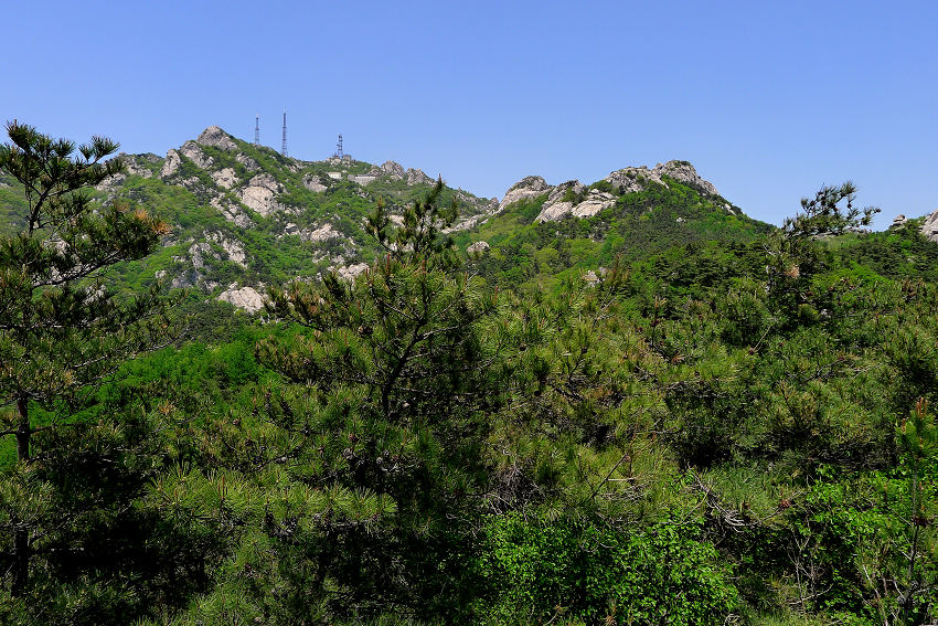 P1030831.JPG