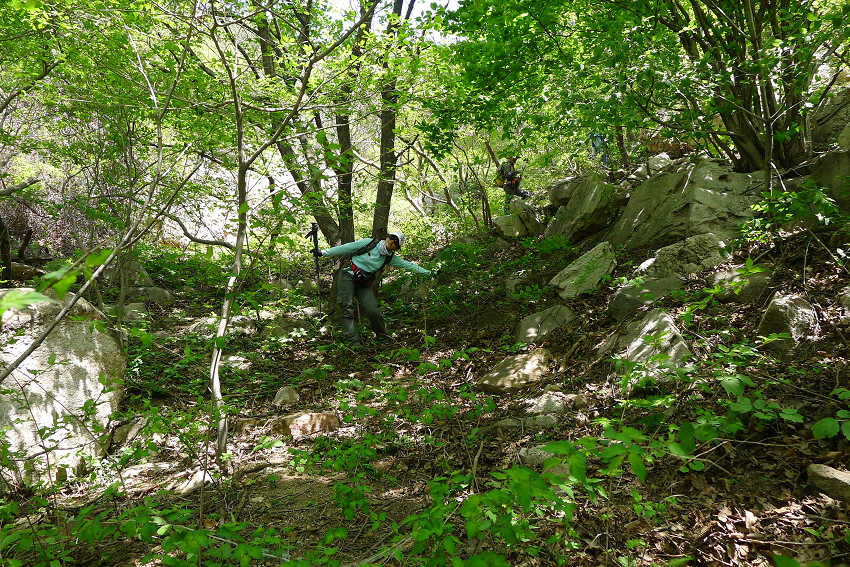 P1030834.JPG