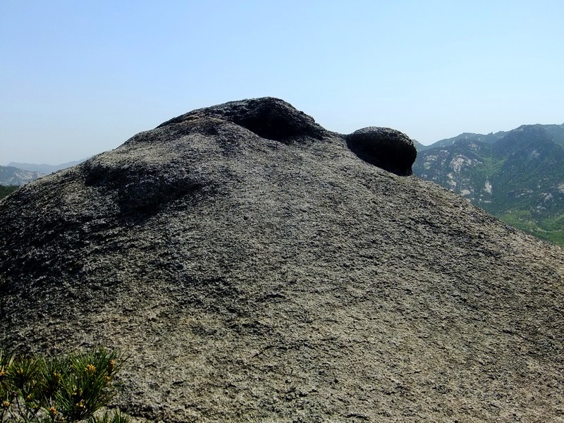DSCF1684.jpg