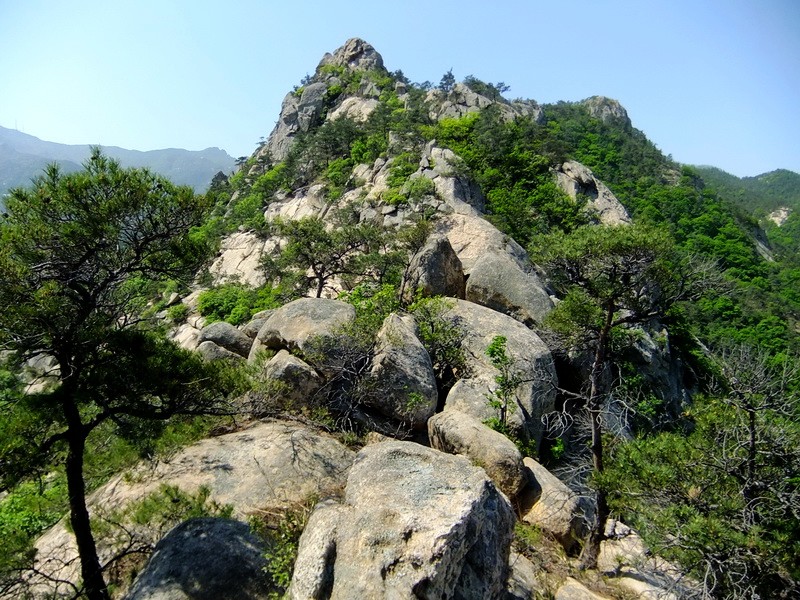 DSCF1683.jpg