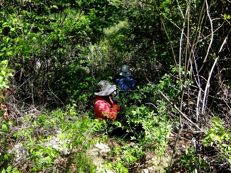 DSCF1692.jpg
