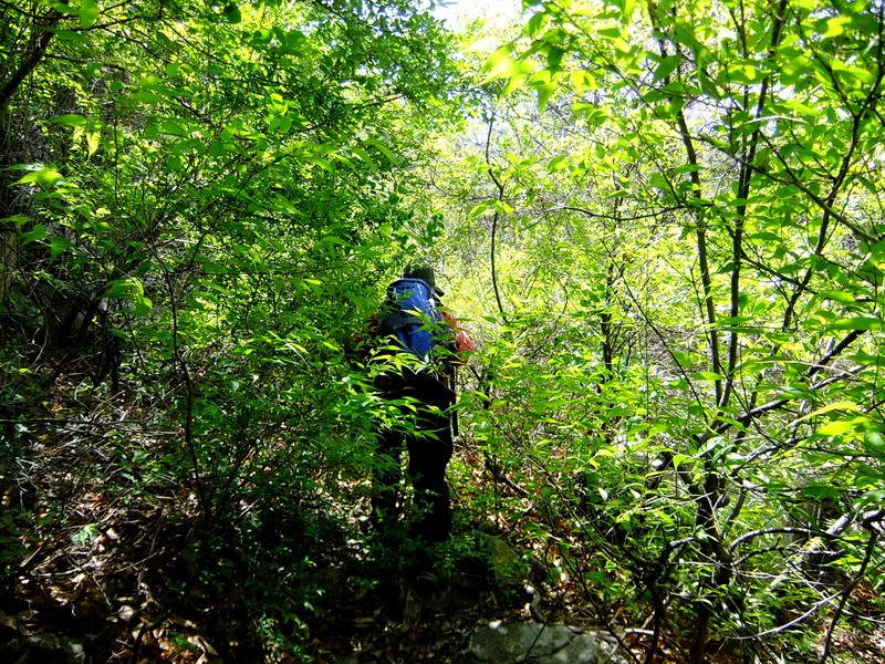 DSCF1694.jpg