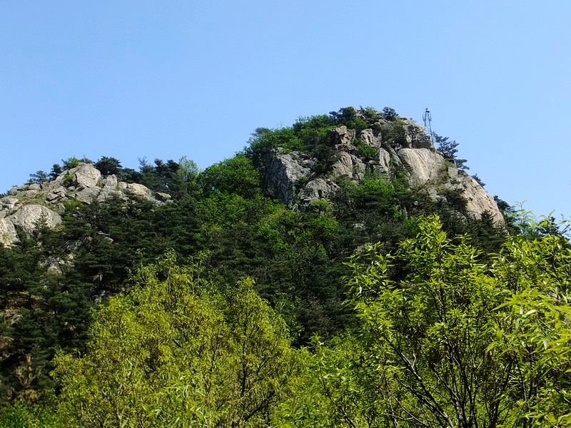 DSCF1707.jpg