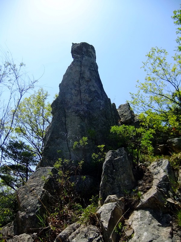 DSCF1703.jpg