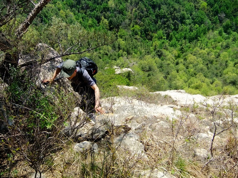 DSCF1711.jpg