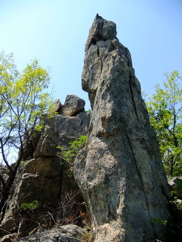 DSCF1705.jpg