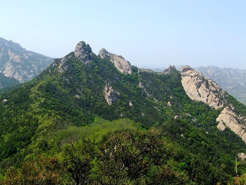 DSCF1719.jpg