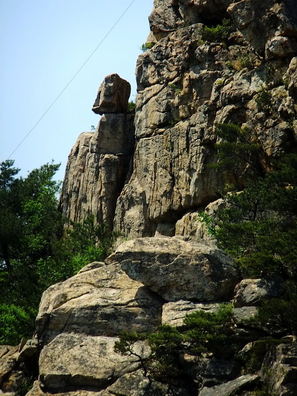 DSCF1733.jpg