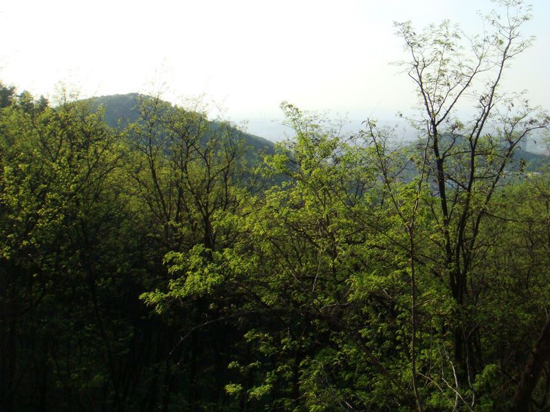 DSC02823.JPG