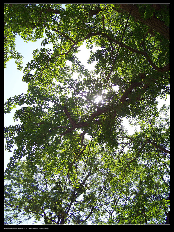 招虎山户外 026_副本.jpg