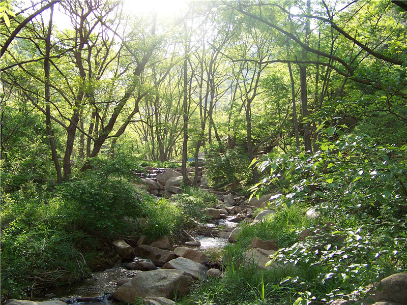 招虎山户外 256_副本.jpg