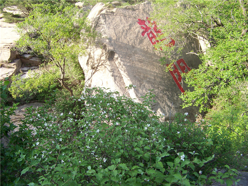 招虎山户外 259_副本.jpg