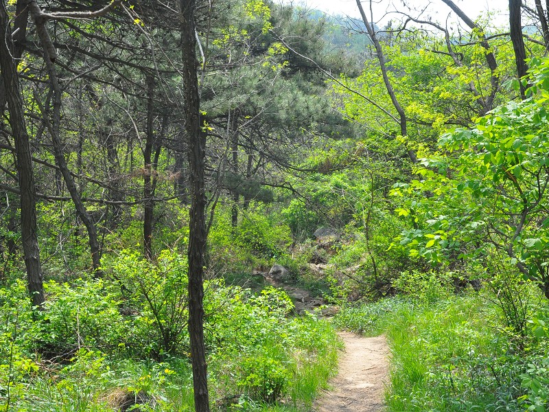 PhotoCap_023.jpg