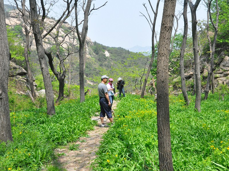 PhotoCap_025.jpg