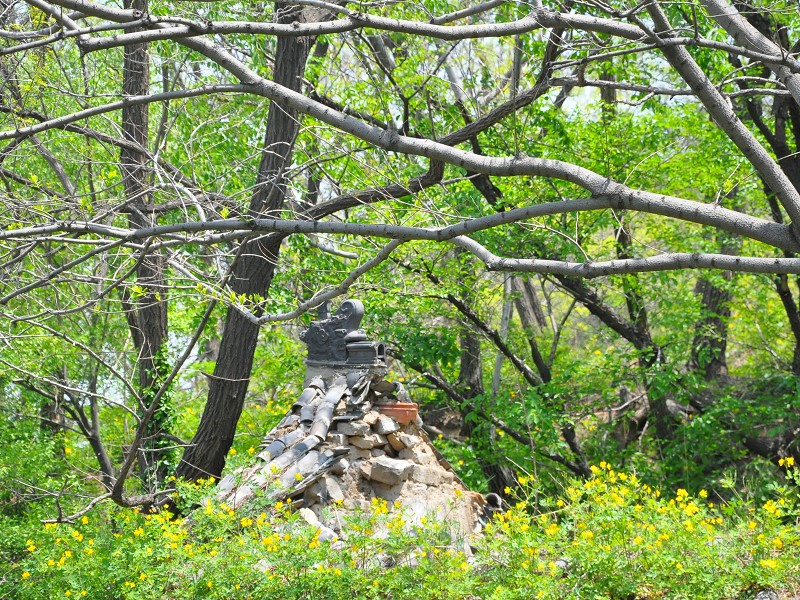 PhotoCap_033.jpg