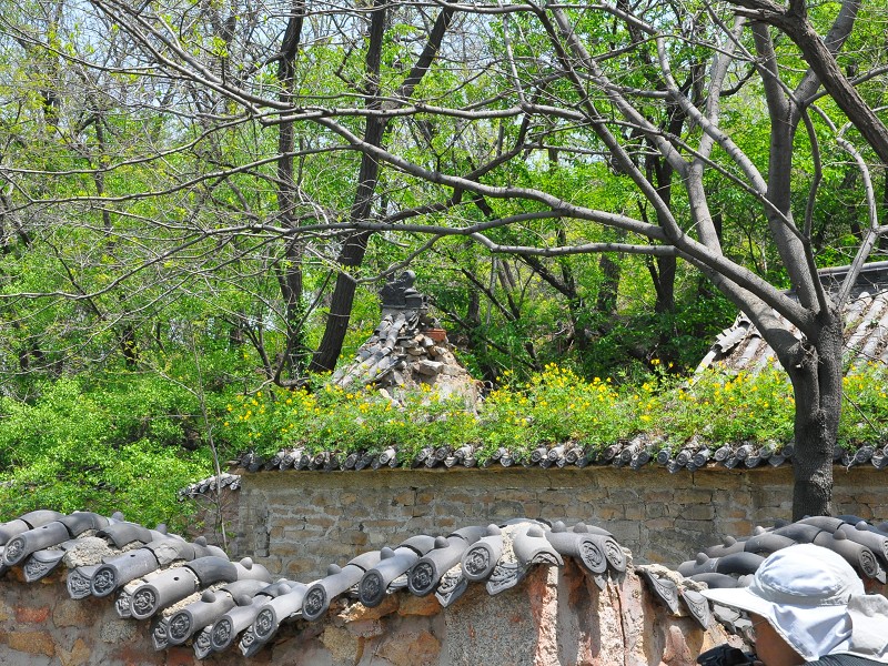 PhotoCap_032.jpg