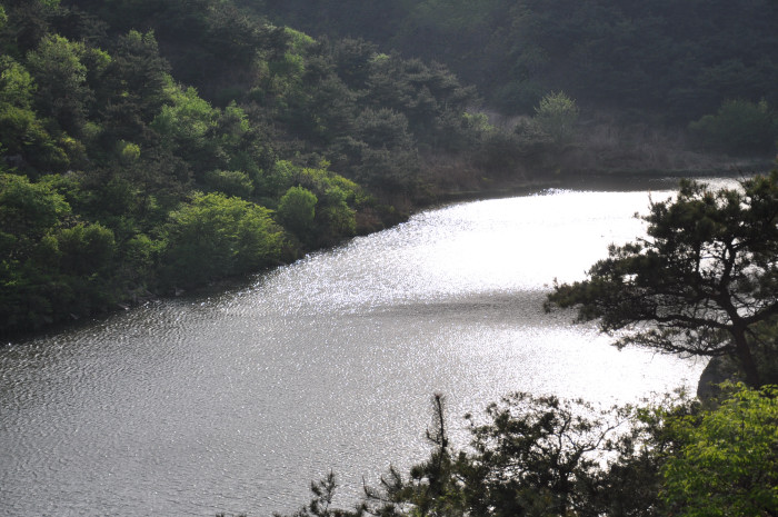 DSC_7092.JPG