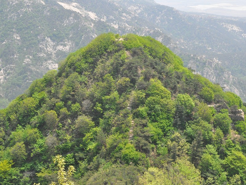 PhotoCap_055.jpg