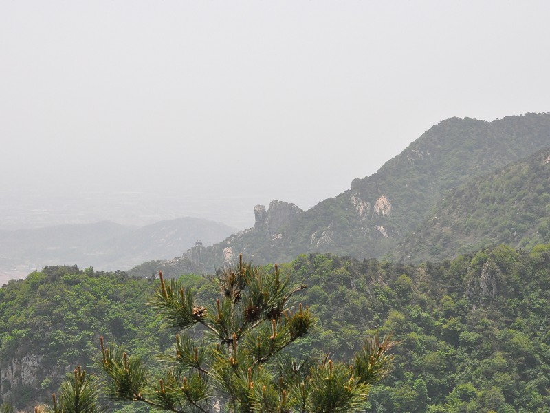 PhotoCap_056.jpg