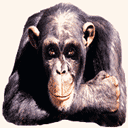 u=2325774645,1864962417&fm=0&gp=0.jpg