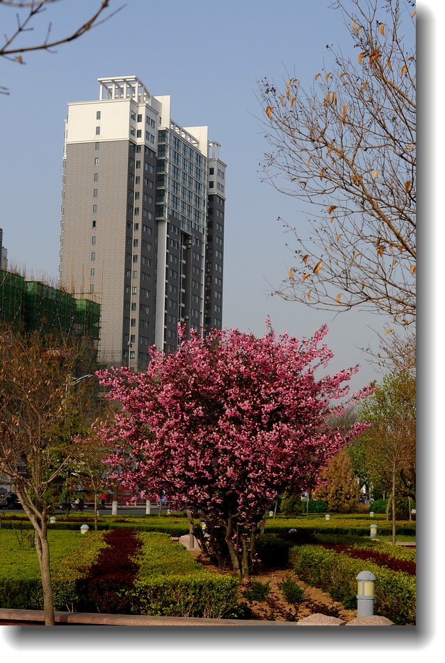 DSC_7656.jpg