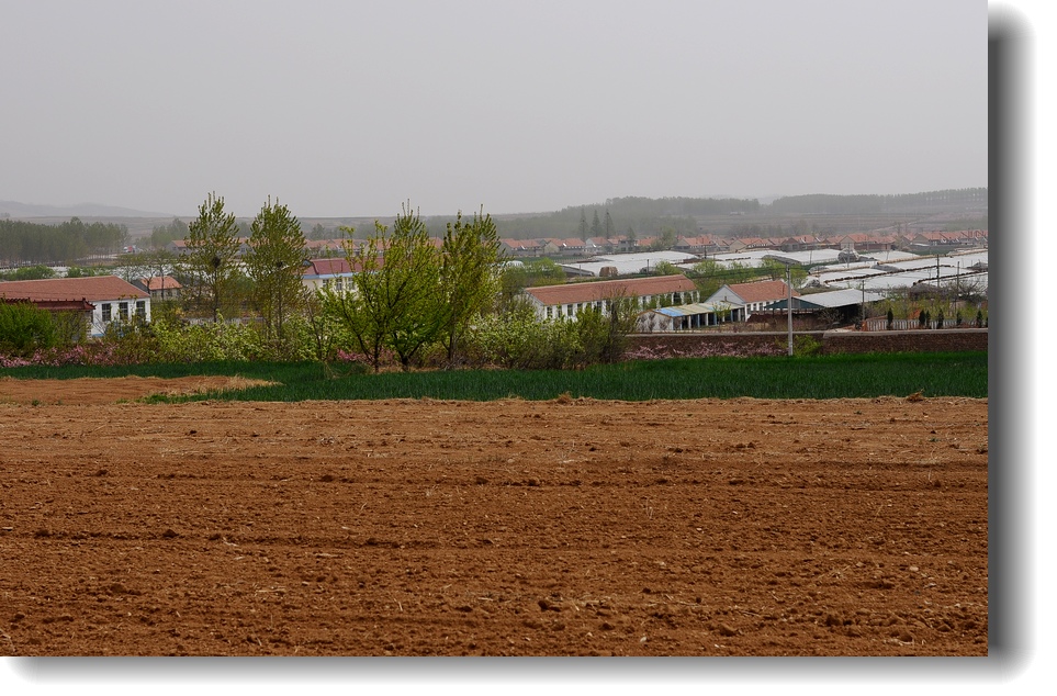 DSC_7670.jpg