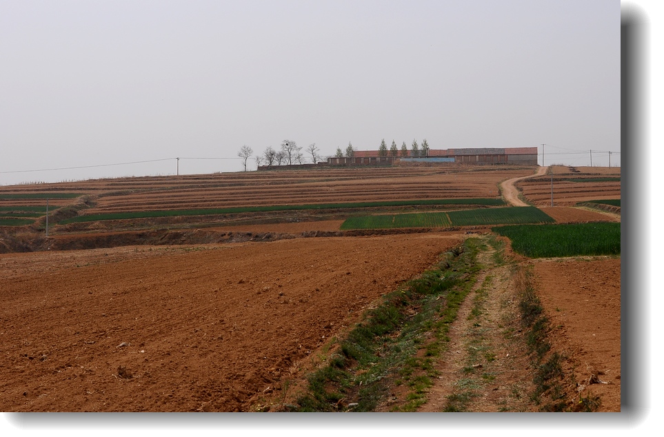 DSC_7672.jpg
