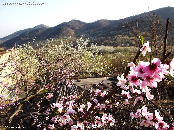 DSCF5973.jpg