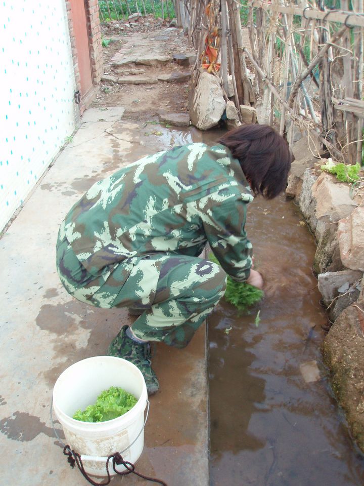 P1010006.JPG