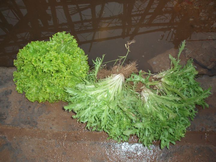P1010003.JPG