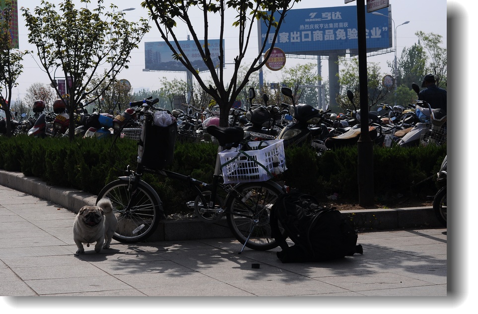 DSC_7684.jpg