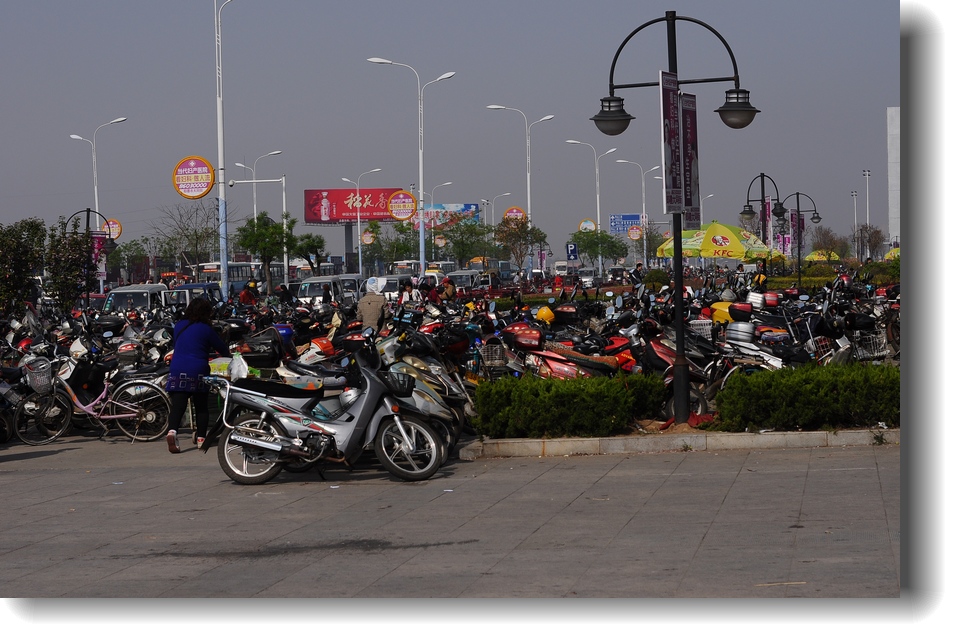 DSC_7685.jpg