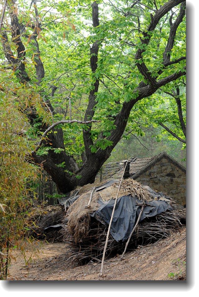 DSC_7958.jpg