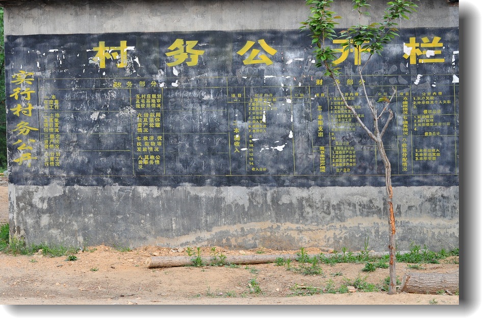DSC_7947.jpg