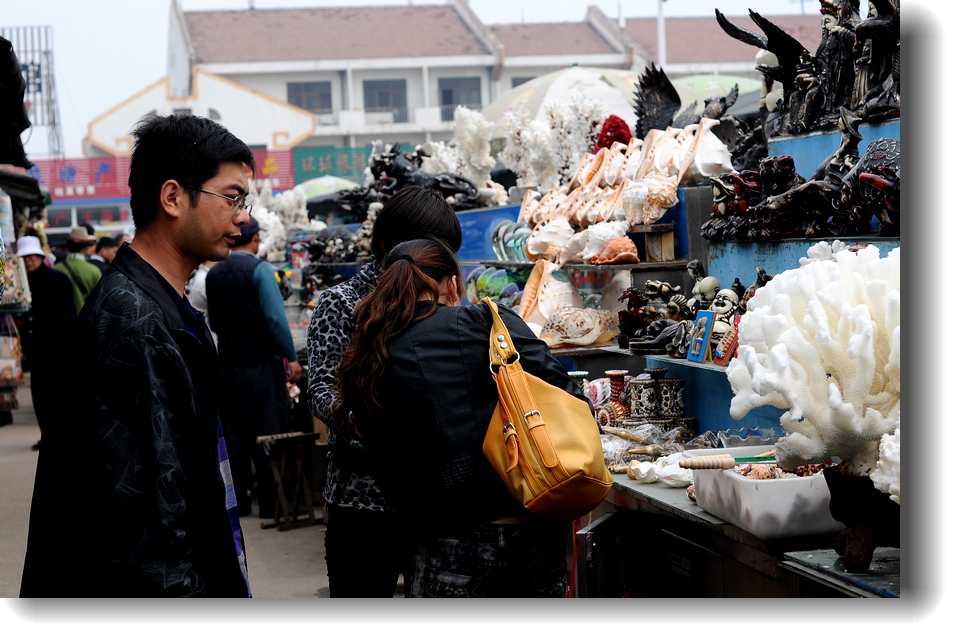DSC_7980.jpg