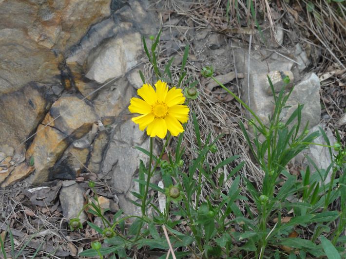 DSC00818.JPG