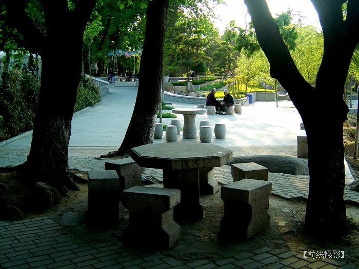 DSC08271-1.jpg