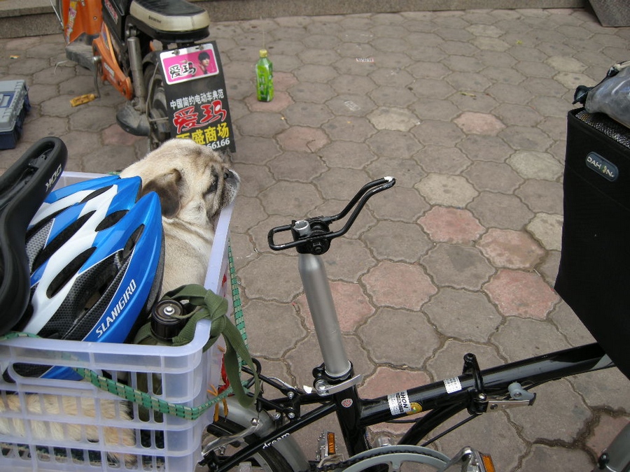 DSCN6510.jpg
