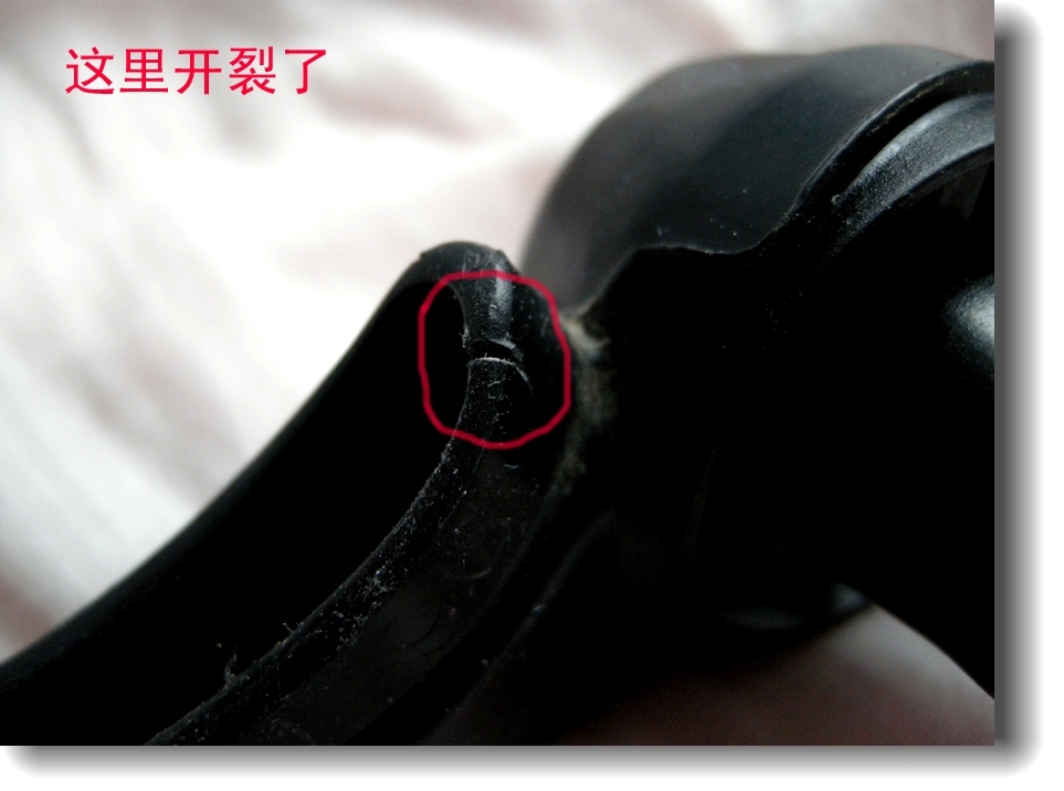 DSCN6530.jpg