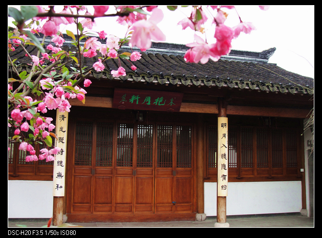 DSC08472.jpg