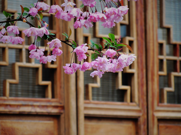 DSC08350.jpg