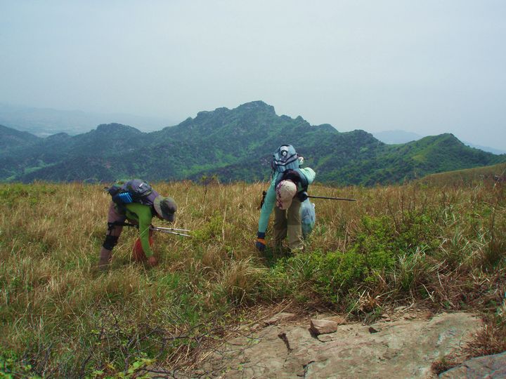 P1010038.JPG