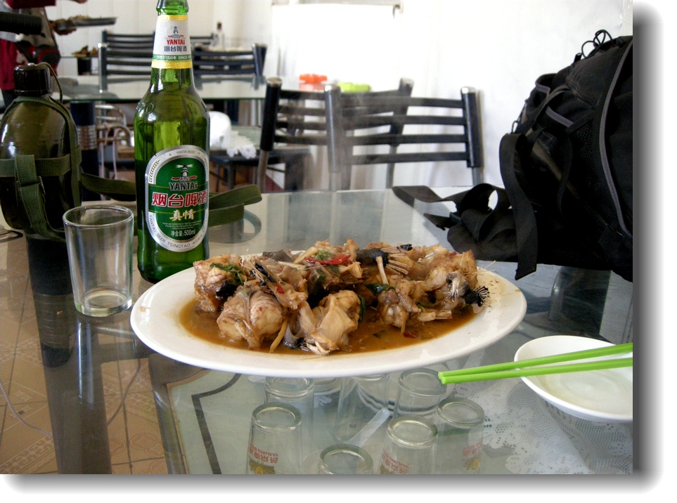 DSCN6534.jpg