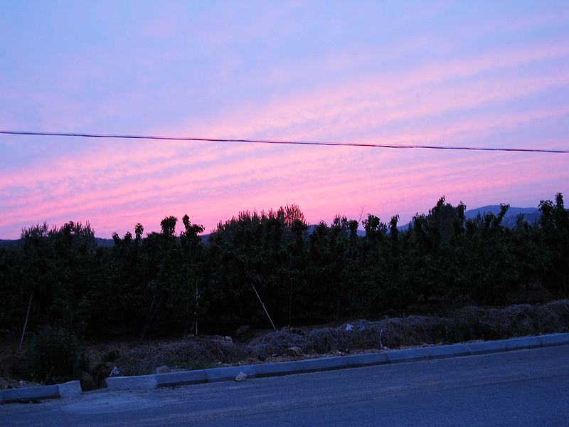IMG_0215.jpg