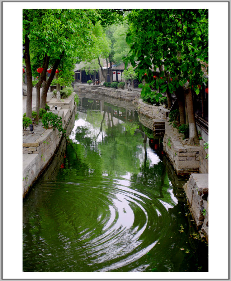 IMGP0726.jpg